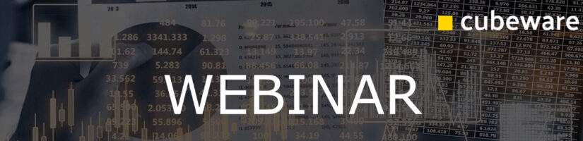 Cubeware Webinar zum ONE PAGE Reporting