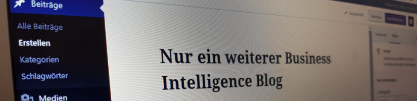 Nur ein weiterer Business Intelligence Blog